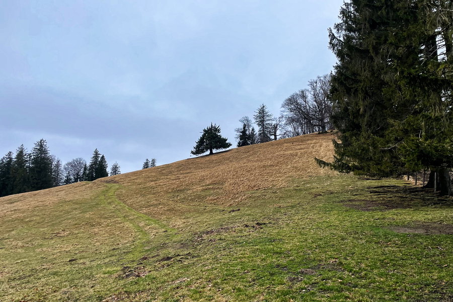 Blick Richtung Eisenstein. Foto: Ursula Trübswasser