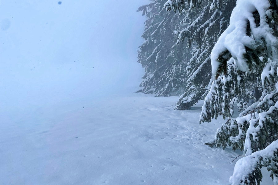 Nicht wirklich ein „Blick“ Richtung Eisenstein. Foto: Ursula Trübswasser