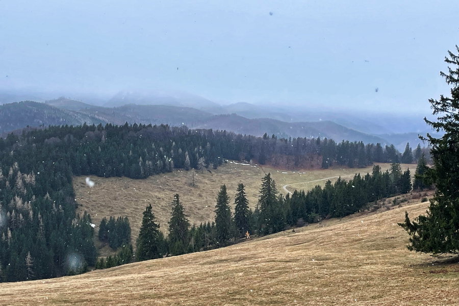 Blick von der Hütte. Foto: Ursula Trübswasser