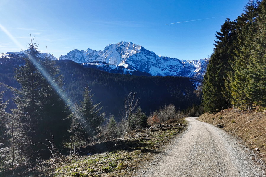 Panoramareicher Wichtelweg bergab. Foto: Tina Lin.