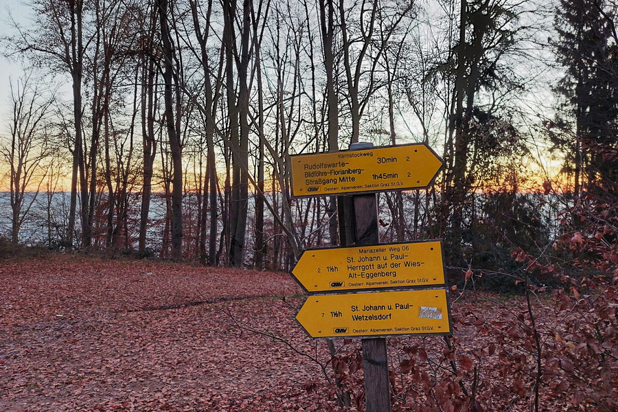 Über den Kernstockweg zur Rudolfswarte. Foto: Alice Frischherz