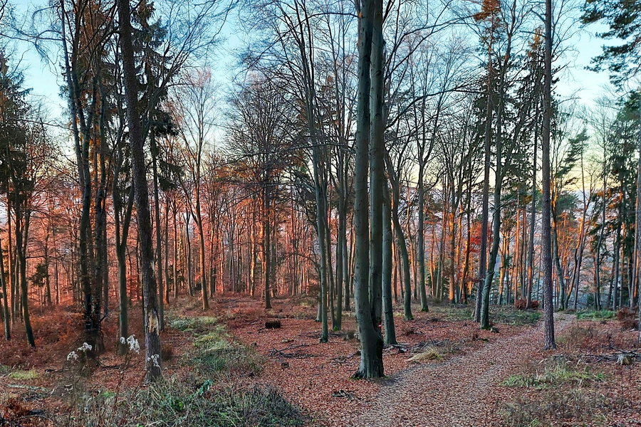 Abstieg vom Buchkogel. Foto: Alice Frischherz