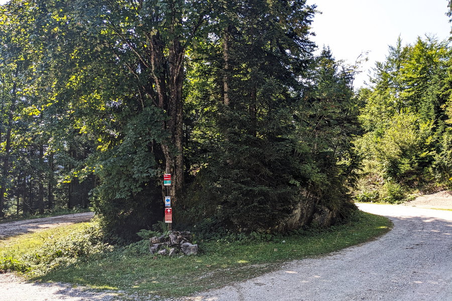 Hinter dem “Wurmstein” geht die Forststraße bald weiter bergab. Kurz darauf zweigen wir links bzw. weiter hangabwärts auf einen Wanderweg ab. Foto: Thomas Obermair