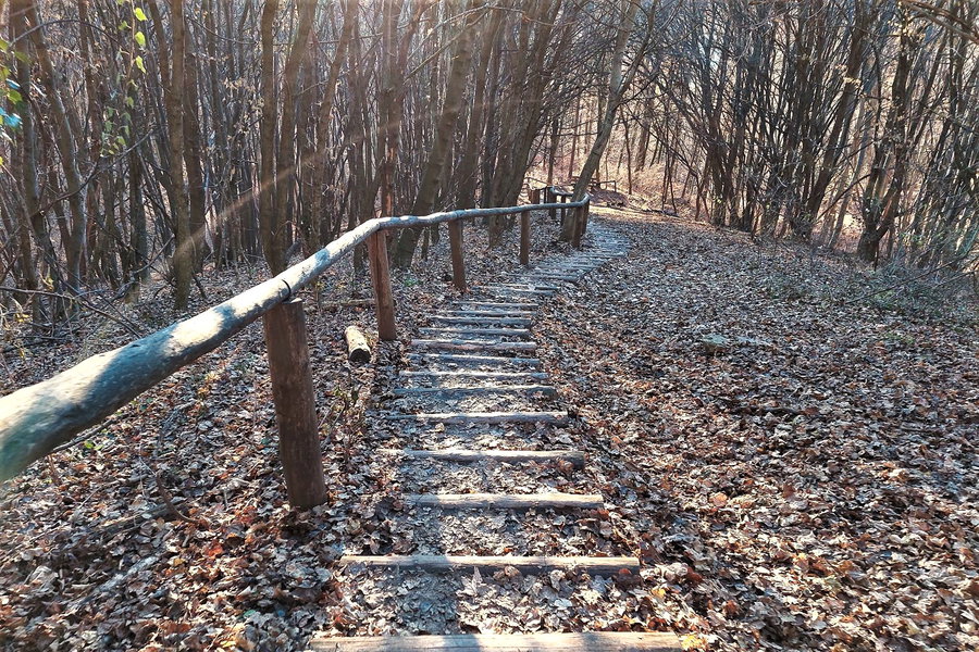 Oacherlsteig. Foto: Alice Frischherz