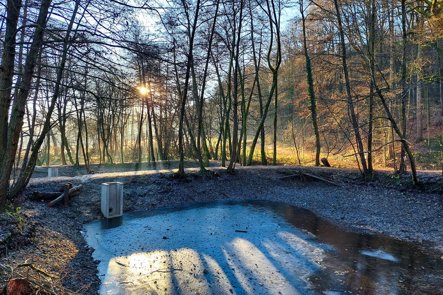 Die Bründlteiche während der Sanierung im Winter. Foto: Alice Frischherz