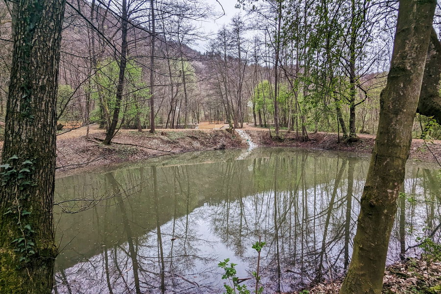 Aktuelles Foto der Bründlteiche. Foto: Aimée Zieser