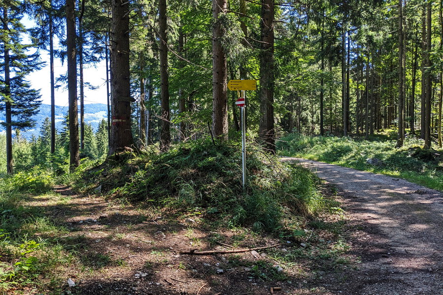 Ein Abzweiger von der Forststraße, juhu! Wobei das monotone Dahintraben eine meditative Wirkung hat. Vor allem wenn man dabei einen Ohrwurm hat… “Hööörst du die Regenwürmer husten? …”  Foto: Thomas Obermair