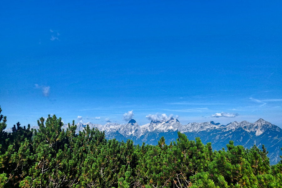 Latschen und Totes Gebirge - ein schöner Farbkontrast. Foto: Anna, POW AT