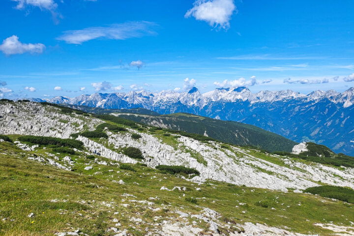 Blick zurück und nach vorne. Fotos: Anna, POW AT