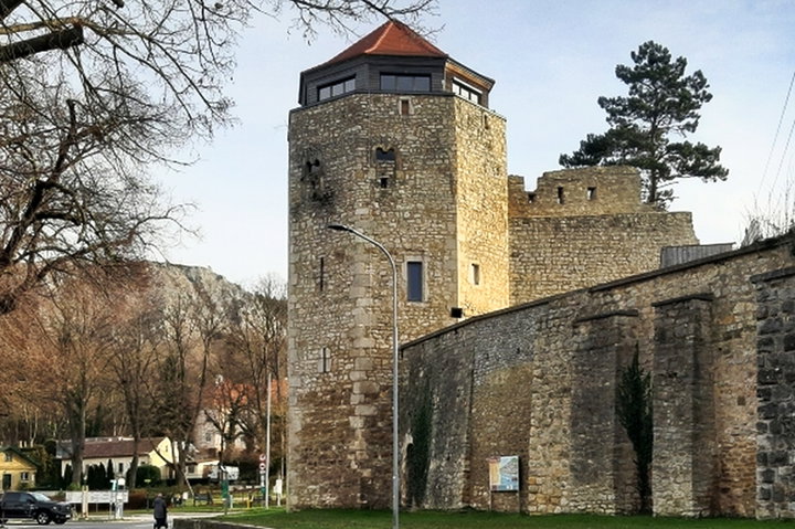 Hainburg. Foto: Elisabeth Pichler