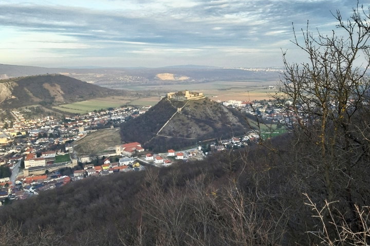Hainburg. Foto: Elisabeth Pichler