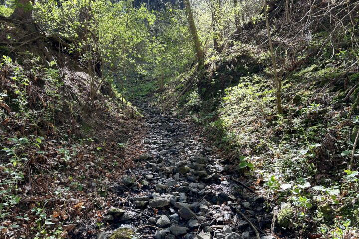 Los gehts hinauf zum Kreuzkogel. Fotos Veronika Schöll