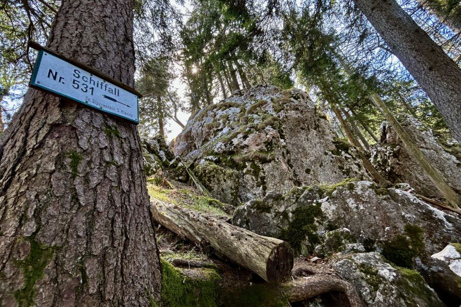 Hoppla! Da gehts rauf! Foto Veronika Schöll