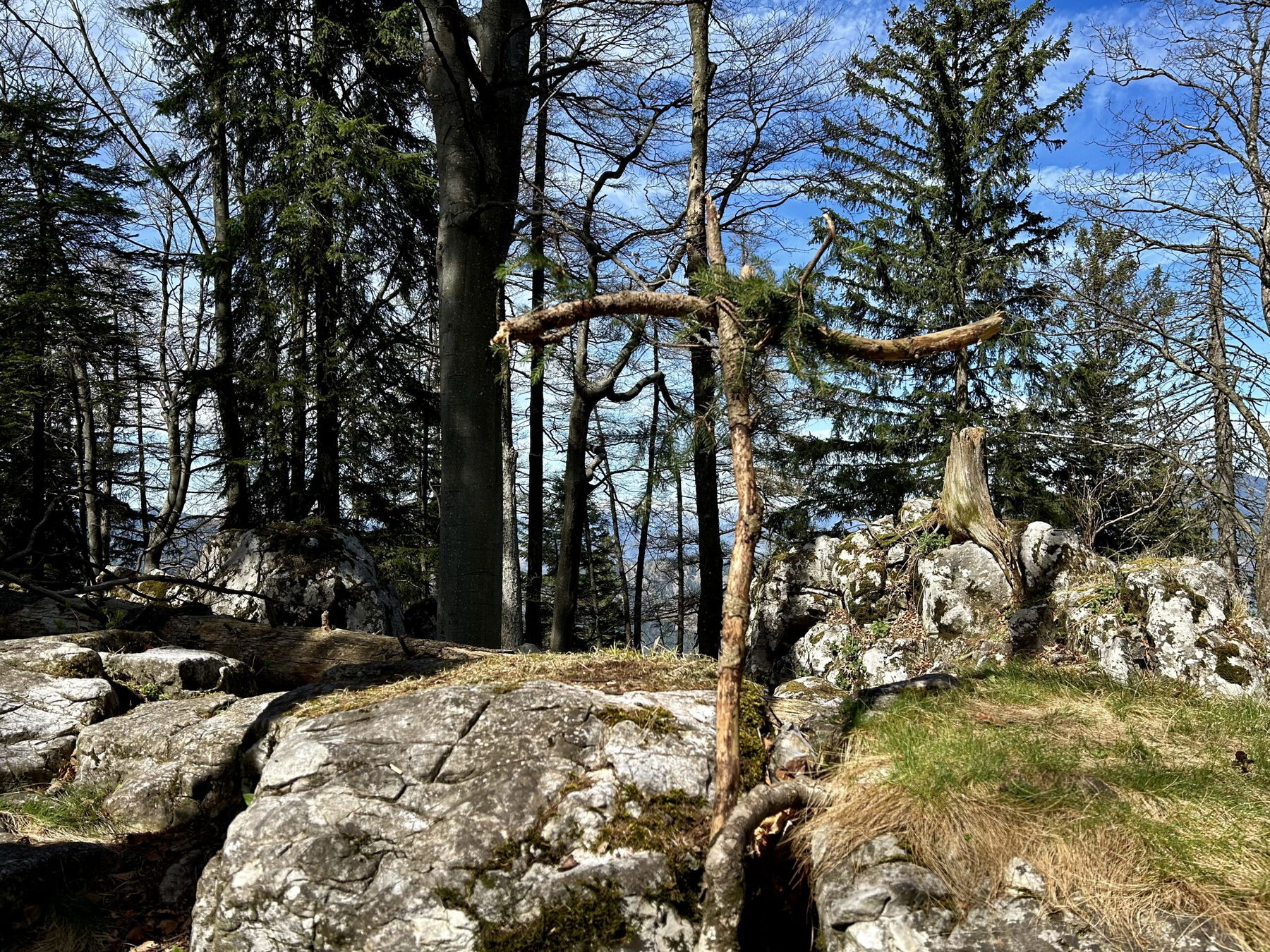 Gipfel oder nicht-Gipfel. Fotos Veronika Schöll
