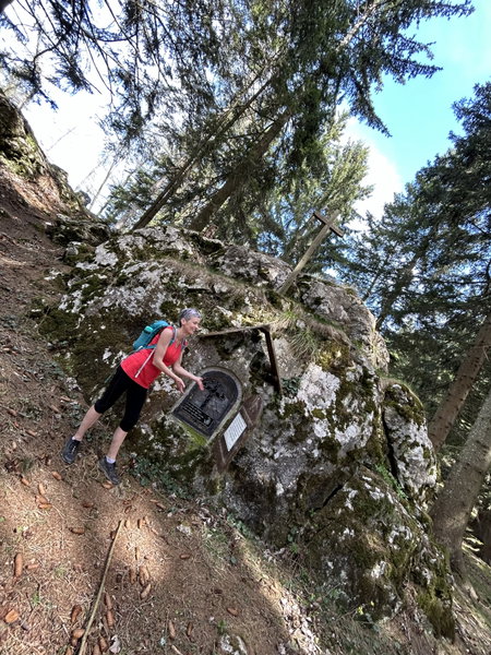 Kreuzkogel Gipfel und Schiffallkreuz. Fotos Veronika Schöll