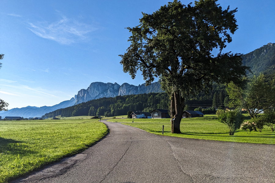 Die einzige Kreuzung ohne Wegweiser ist nach dem großen Baum gelegen. Im Hintergrund erhebt sich die Drachenwand! Auch dort kommen wir heute noch hin, zumindest unterhalb. Foto: Thomas Obermair