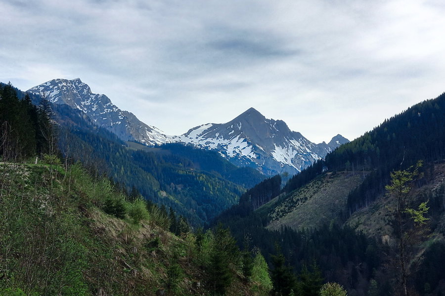 Großer Pyhrgas (links) und Scheiblingstein (rechts). Foto: Martina Friesenbichler