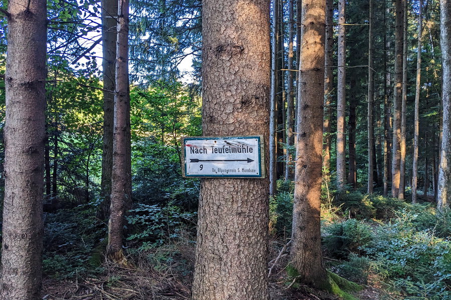 Alte Wege neu entdeckt. Zumindest unter Einheimischen wird er aber noch gut genutzt, immerhin ist er in einem top Zustand! Foto: Thomas Obermair