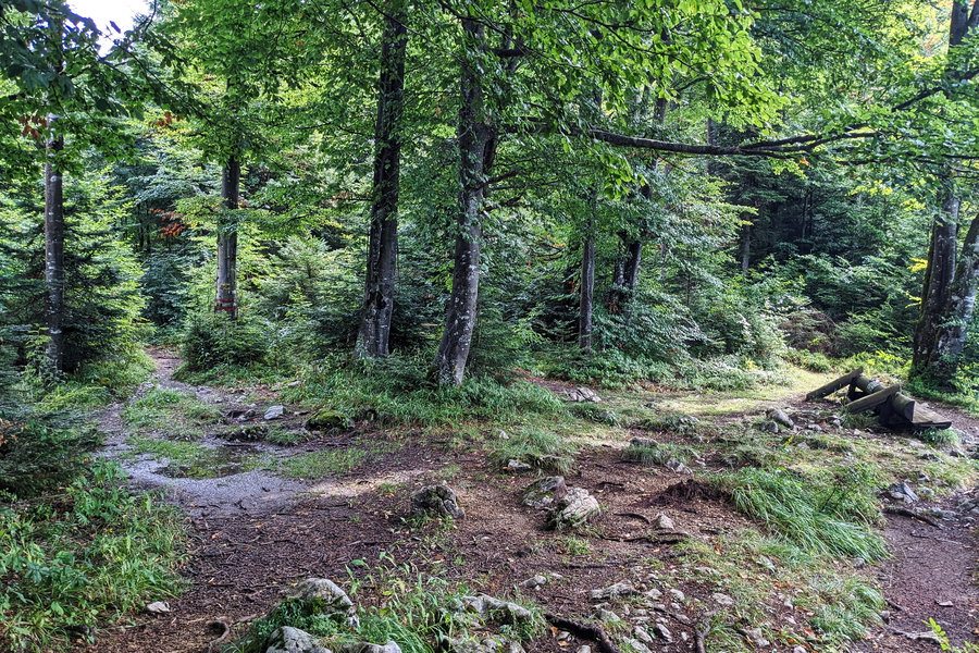 Es wird wieder flach, hier kommt auch ein Klettersteig heraus. Linkerhand geht es weiter zum Gipfel. Foto: Thomas Obermair