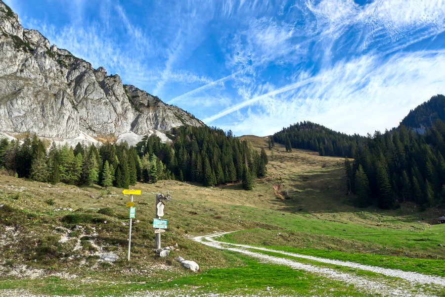 Blick hinauf zum Arlingsattel. Foto: Martina Friesenbichler