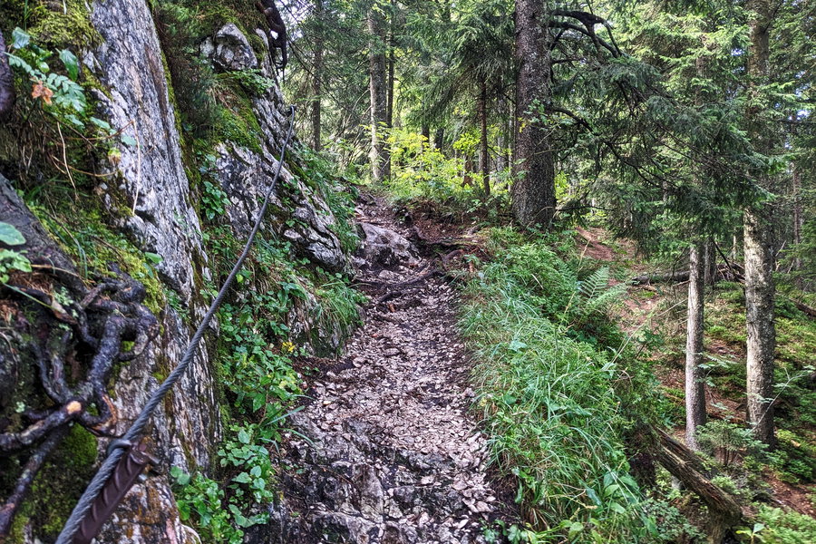 Zur Sicherheit ist hier versichert für alle Leit! Geübte Bergsteiger:innen brauchen das Seil auf den letzten Metern nicht, ohne rutschfestes Schuhwerk bietet es aber den nötigen Rückhalt. Foto: Thomas Obermair
