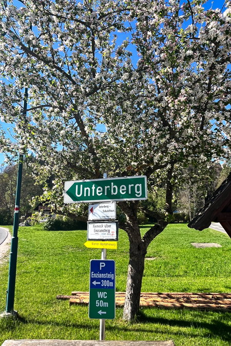 Foto: Birgit Matzinger