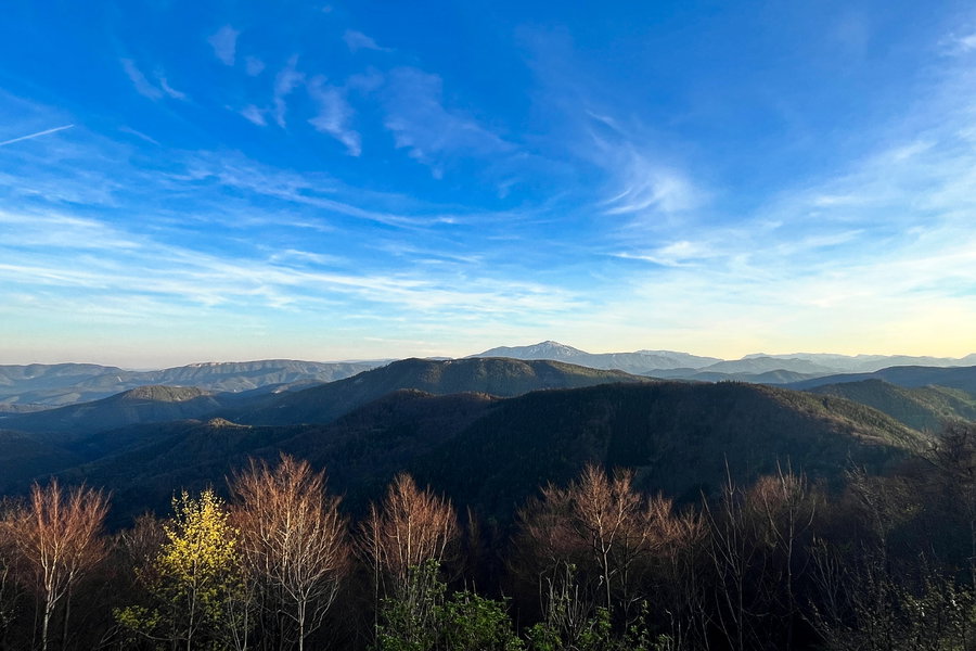 Aussicht von der Terrasse der Enzianhütte. Foto: Birgit Matzinger