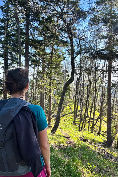 Foto: Birgit Matzinger