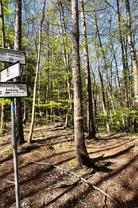 Foto: Birgit Matzinger