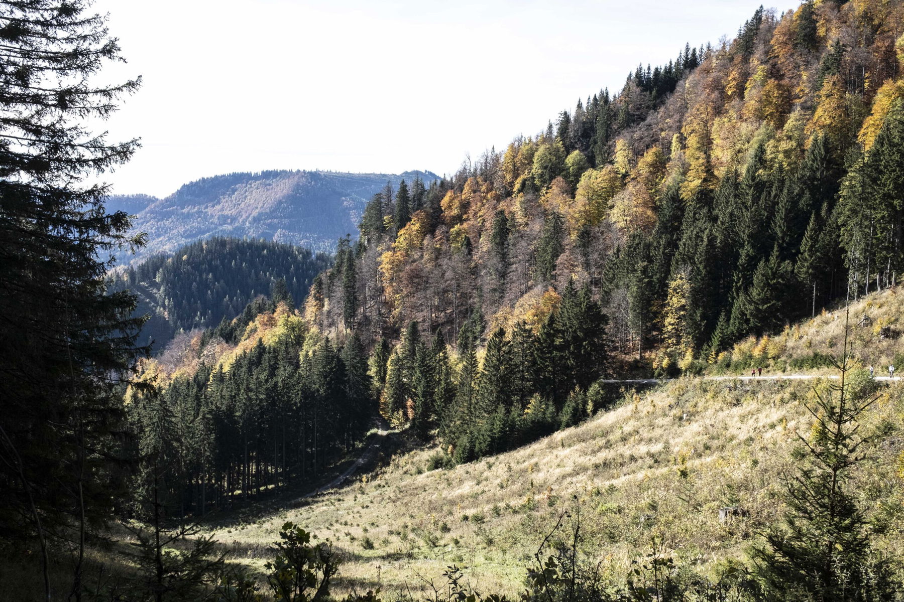 Tiroler Kogel: NÖ Voralpen-Haute-Route im Herbst
