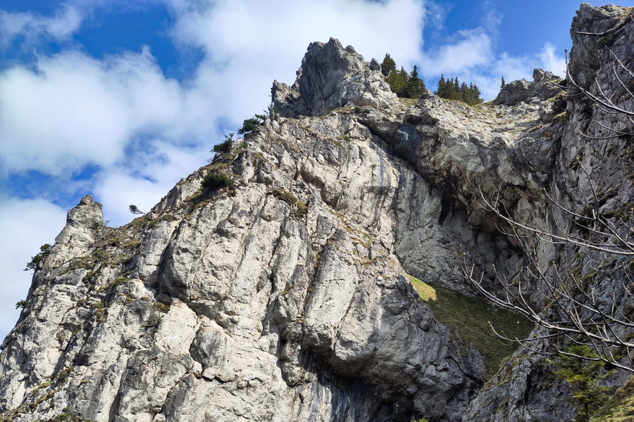 Aufblick - ganz schön alpin! Foto: Karl Plohovich