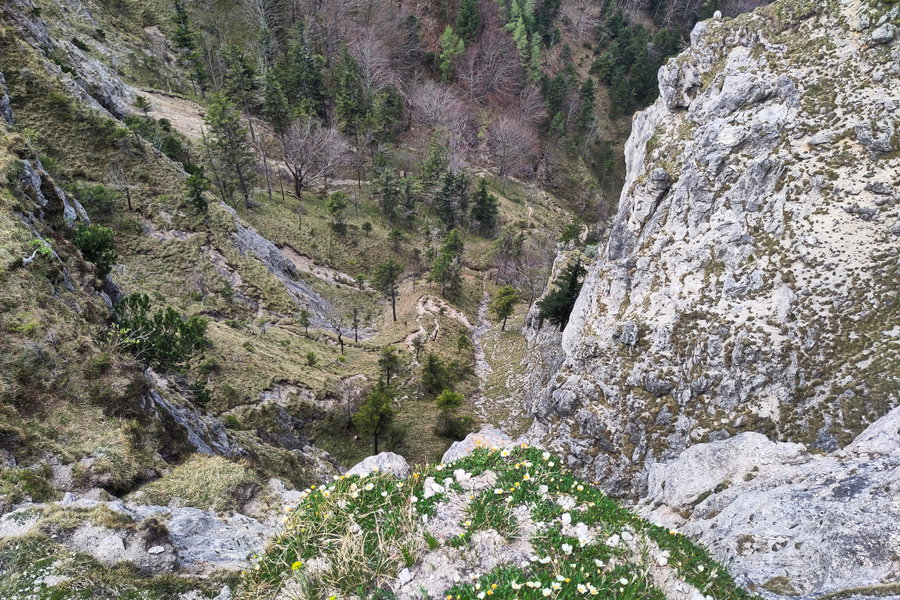 „Über diese wilde Schlange (nicht: hohle Gasse) muss er gekommen sein…“ Foto: Karl Plohovich