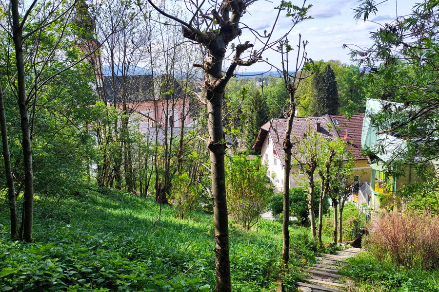 Eine Treppe zwischen Gärten leitet zur Eichstraße in die Gnigl. Foto: Karl Plohovich