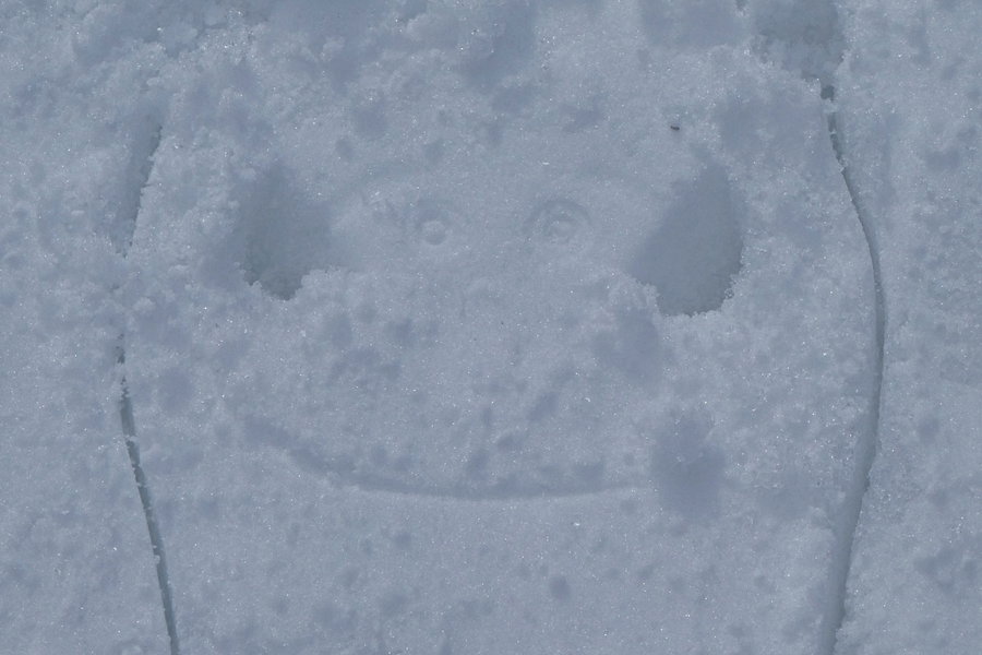 Schneeschuh - Lächeln. Foto: Karl Plohovic