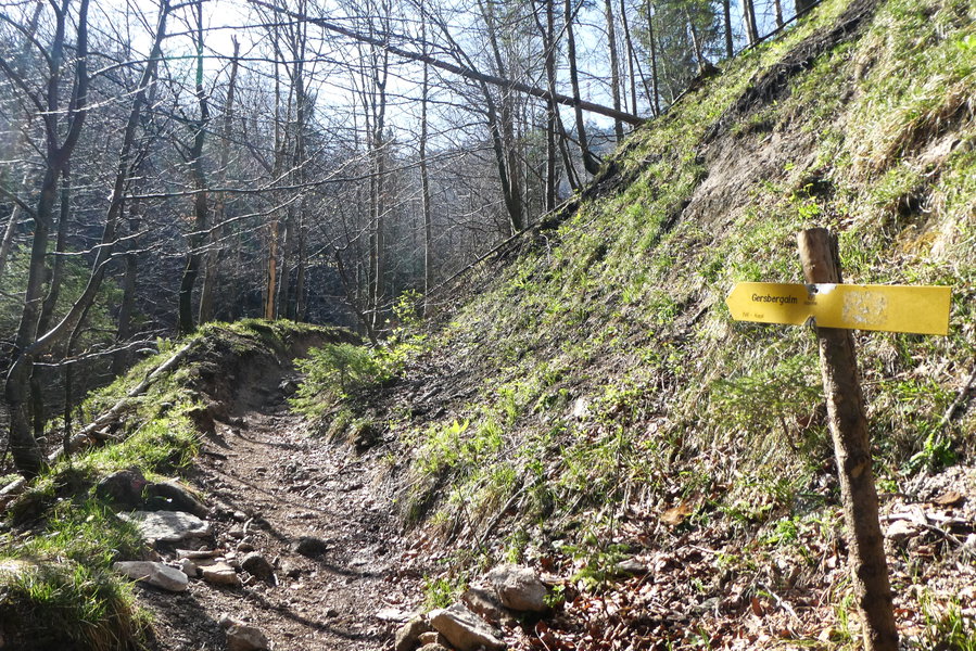 Von der viel begangenen Nocksteinschlucht zweigt der Steig „Gersbergalm“ ab. Foto: Karl Plohovich