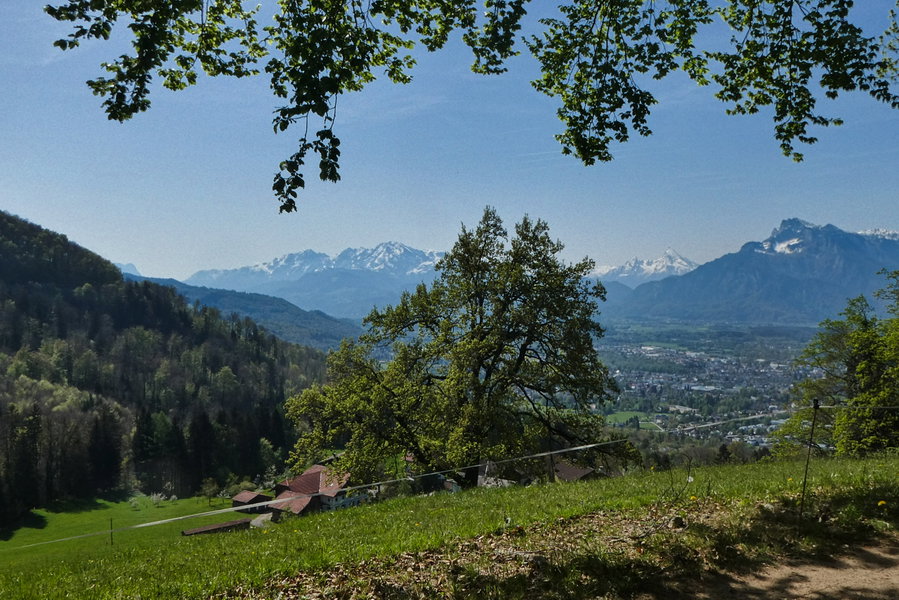 Harmonie – Himmel, Berge, Wiesen und Wälder... Foto: Karl Plohovich