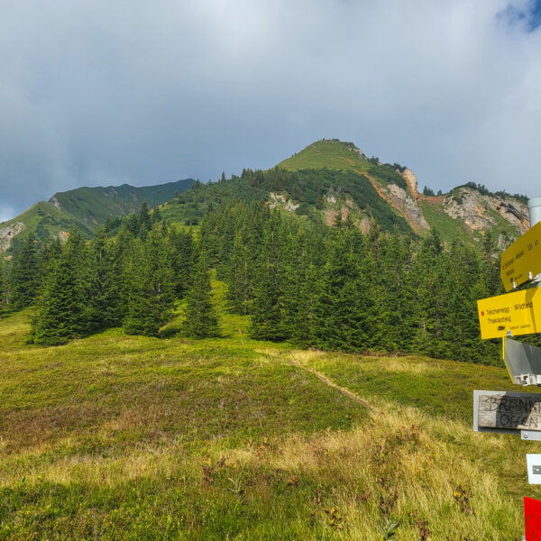 Am Brunnecksattel sieht man den weiteren Wegverlauf. Foto: Anna, POW AT