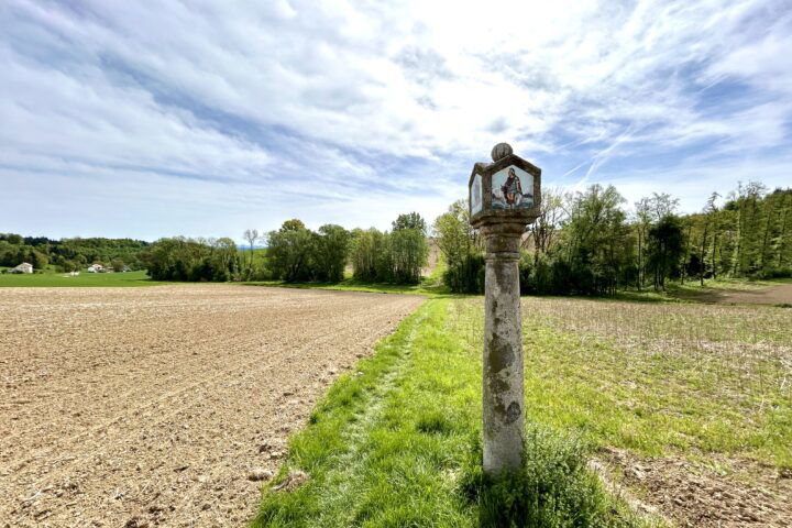 Wanderstart - über Wiesen und Felder nach Ölkam. Foto Veronika Schöll