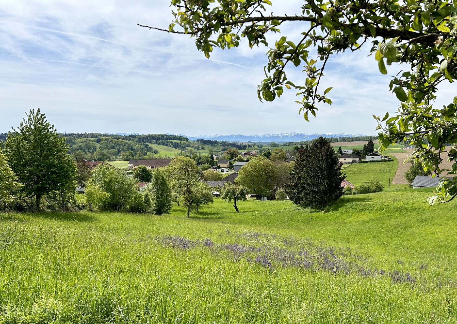 Anton Bruckner begegnen, von Linz nach Enns