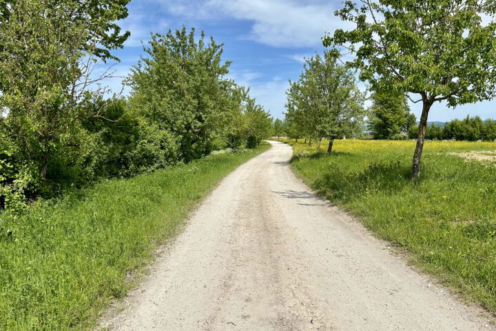 Weiterwandern nach Enns. Fotos Veronika Schöll
