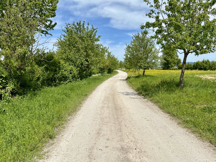 Weiterwandern nach Enns. Fotos Veronika Schöll