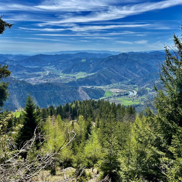 Blick ins Murtal. Foto Veronika Schöll