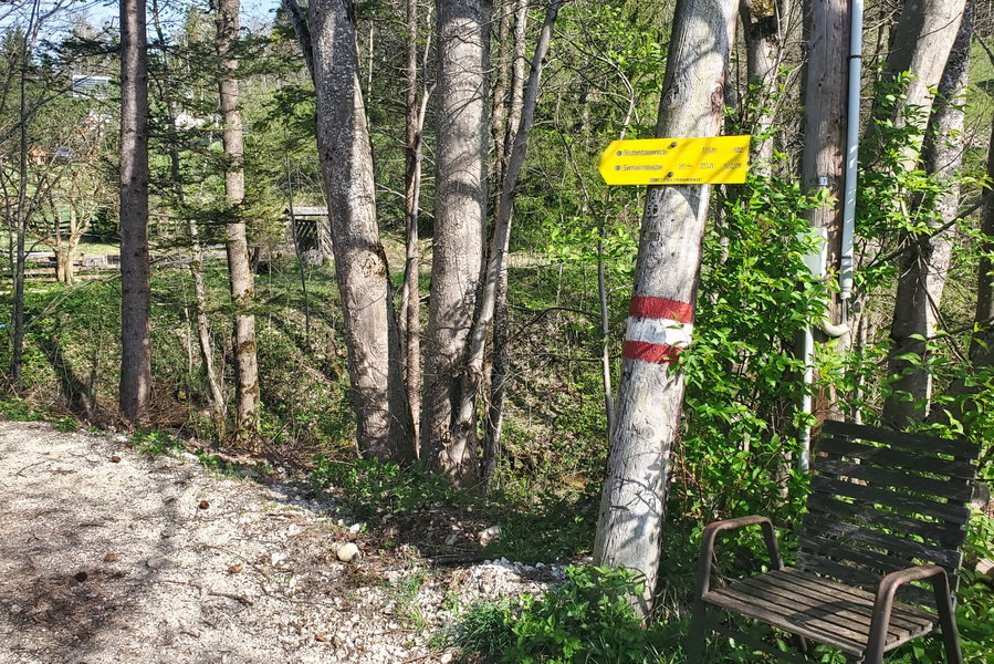 Hinauf in den Wald entlang des Weges 622 zur Gemeindealpe (hier mit 2,5 Stunden Gehzeit angeschrieben). Foto: Linda Prähauser