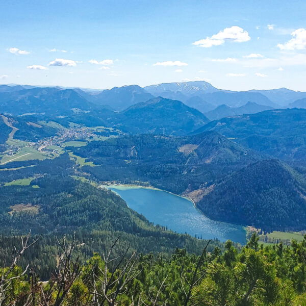 Blick vom Gipfel auf den Erlaufsee (mein nächstes Ziel) und Richtung Mariazell. Foto: Linda Prähauser