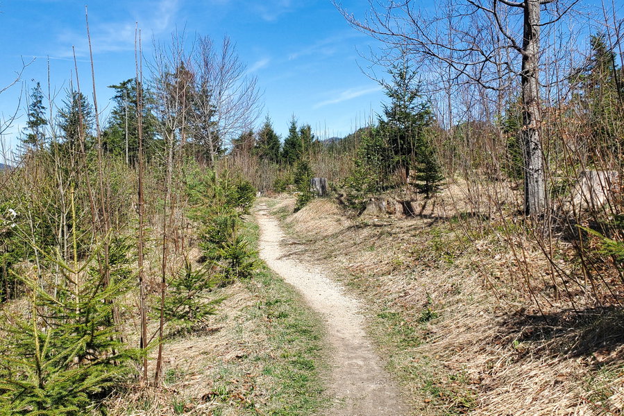 Weg abseits der Straße Richtung Mitterbach. Foto: Linda Prähauser