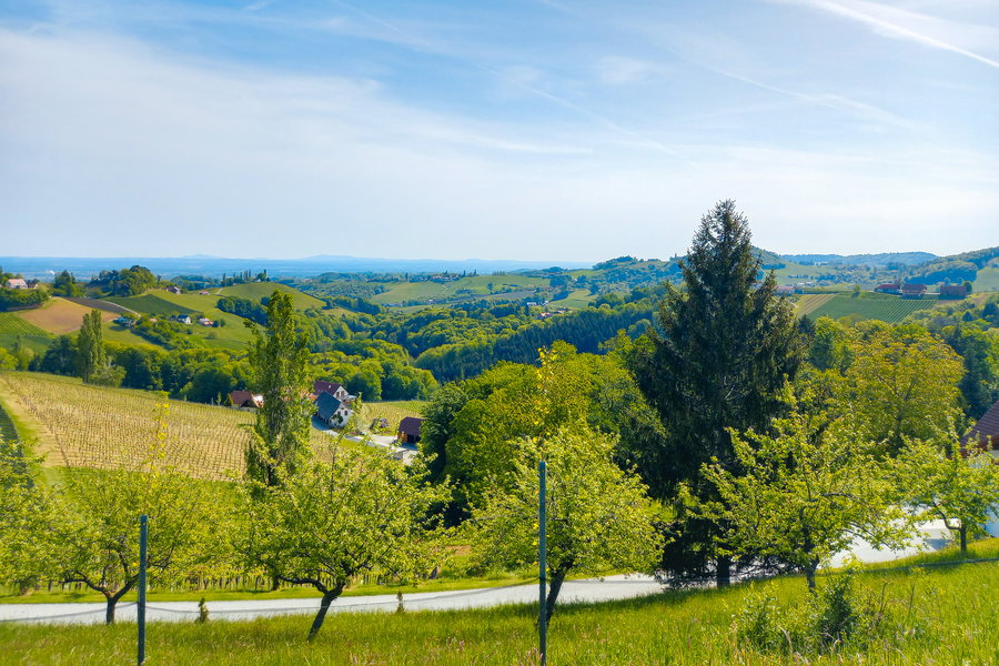 Platz mit dem wohl schönsten Blick in die Südsteiermark. Foto: Martina Friesenbichler