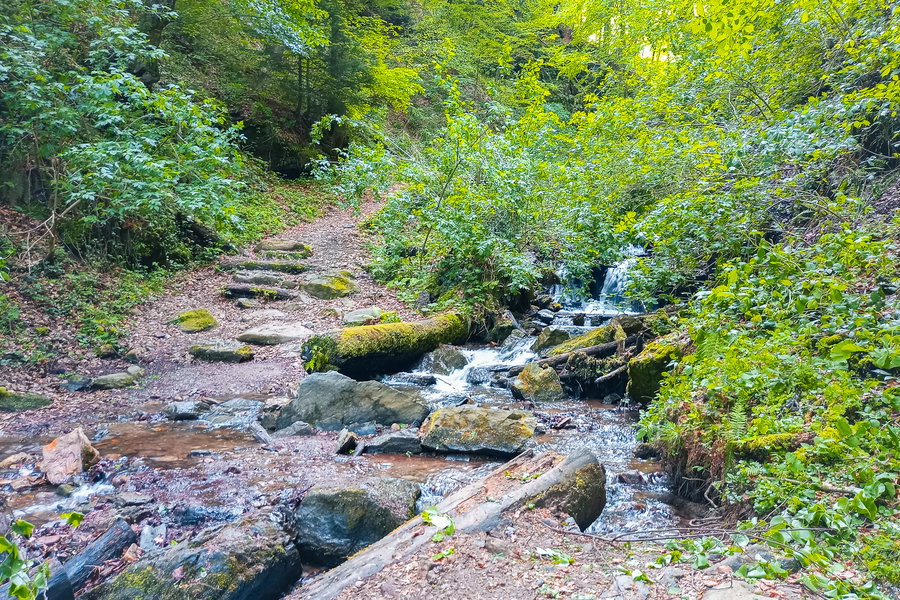 Erste Bachquerung. Foto: Martina Friesenbichler