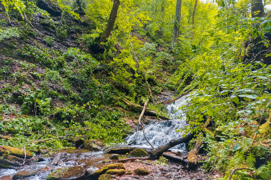 Die Klamm ist noch weitgehend naturbelassen. Foto: Martina Friesenbichler