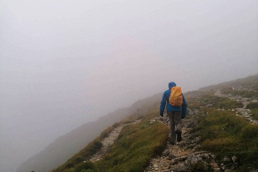 Auf den Windberg zu – oder doch in Schottland irgendwo? Foto: Sarah Pallauf