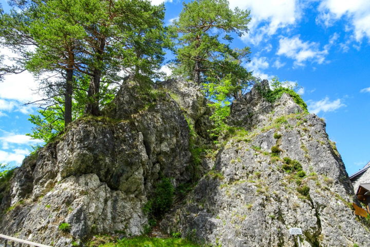 Foto: Thomas Schönig